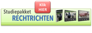 Studiepakket Rechtrichten