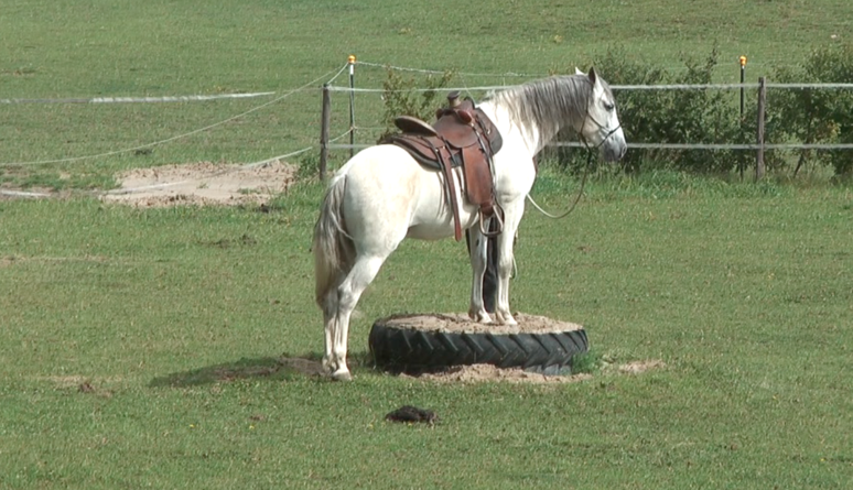 ElBlancoPedestal