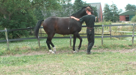 Eddy Modde en Romanesque