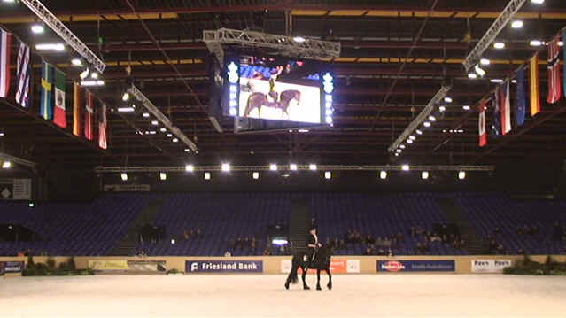 Clinic rechtrichten KFPS hengstenkeuring rechtrichten