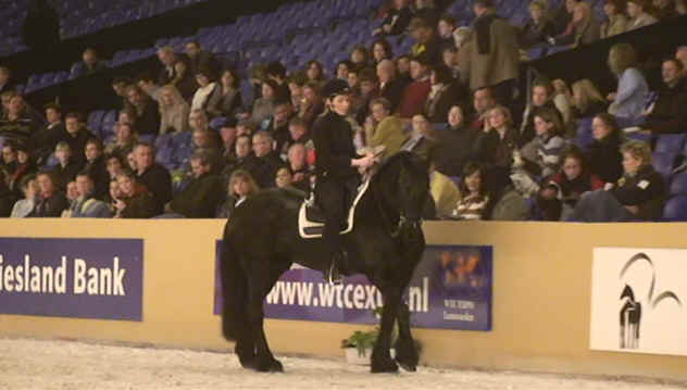 Clinic rechtrichten KFPS hengstenkeuring rechtrichten