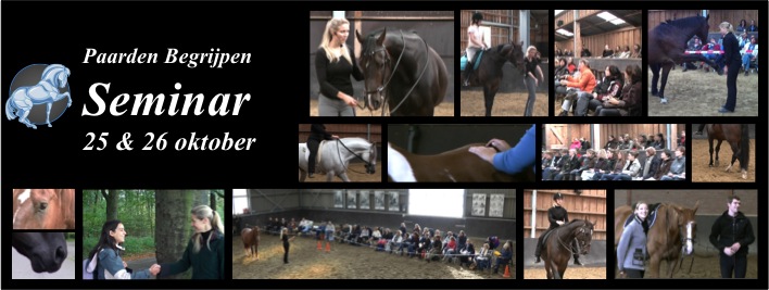 Paarden Begrijpen