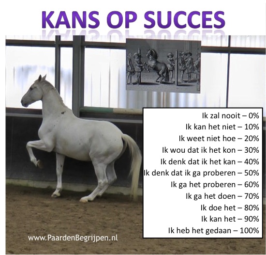 Beperkende en steunende overtuigingen