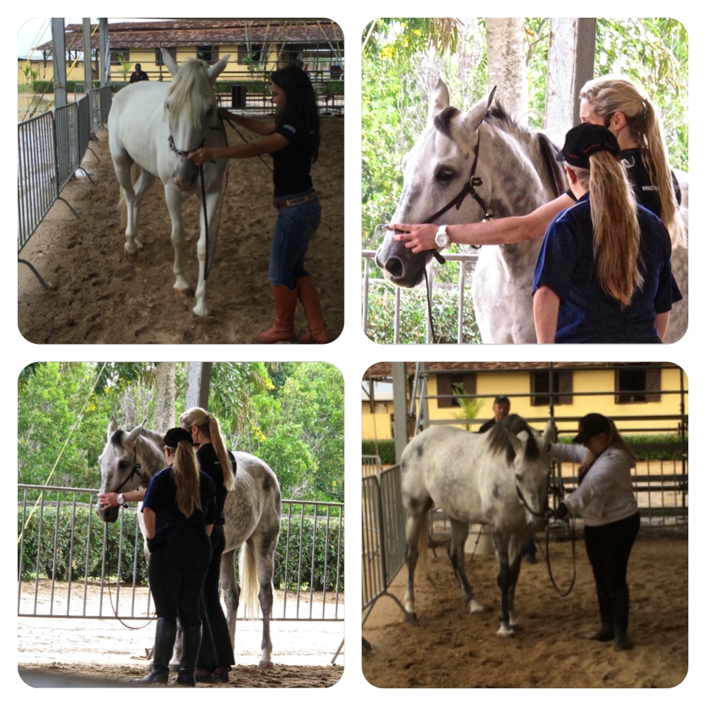 straightness-training-brazil-renvers
