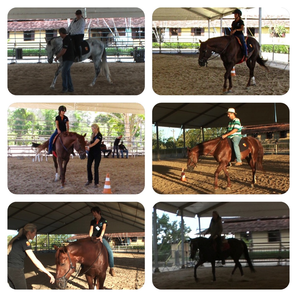 straightness-training-brazil-riding