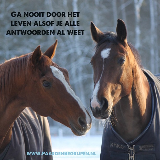 Expertise