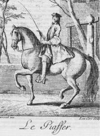 Doelbevrijde rijkunst Academische-Rijkunst